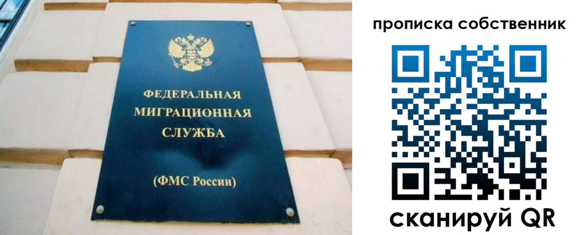 временная регистрация надежно в Видном